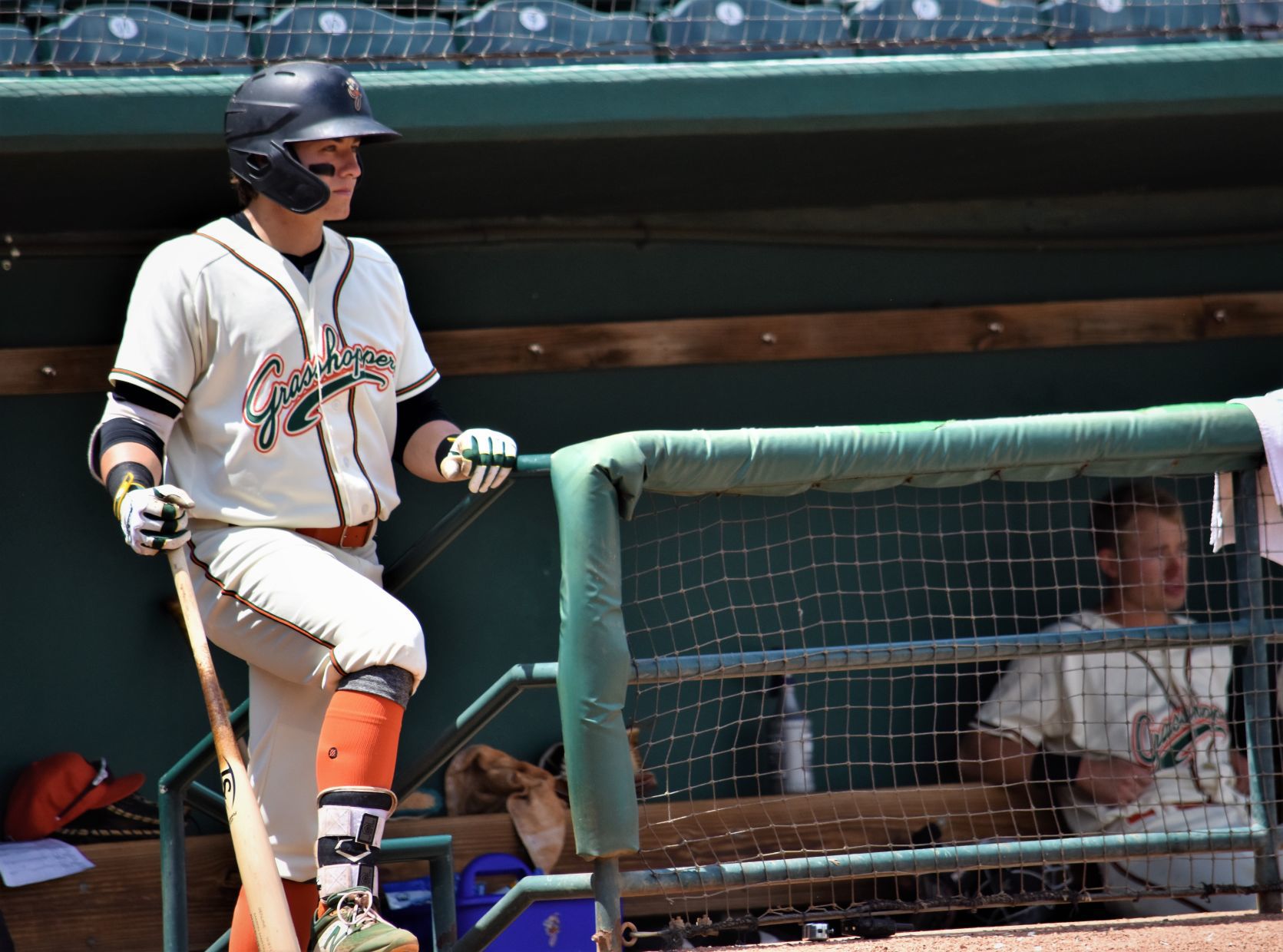 Hoppers 2019 Mason Martin dugout